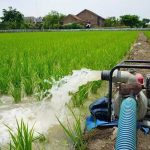 راهکارهای ساده برای افزایش بهره‌وری در کشاورزی