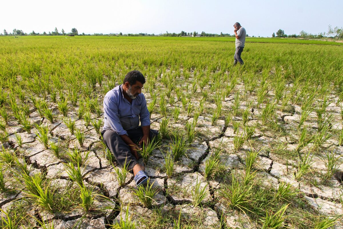 چالش‌های پنهان کشاورزی در ایران